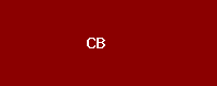 Cash Bridge logo