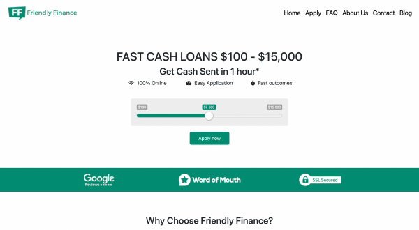 Friendly Finance website screenshot