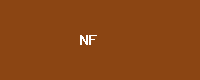 Now Finance